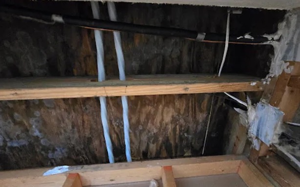 Hail Damage Restoration in Missouri City, TX