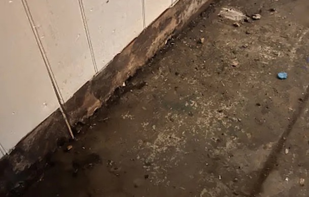 Biohazard and Trauma Cleanup in Missouri City, TX