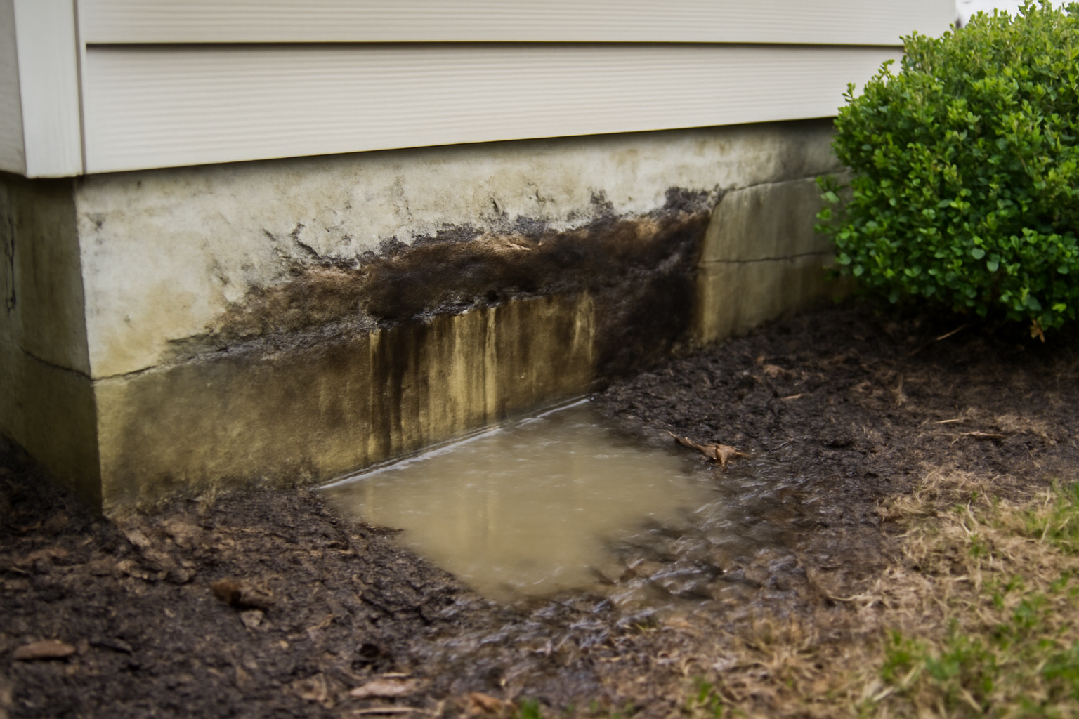Foundation Leak Water Removal in Commonwealth, TX